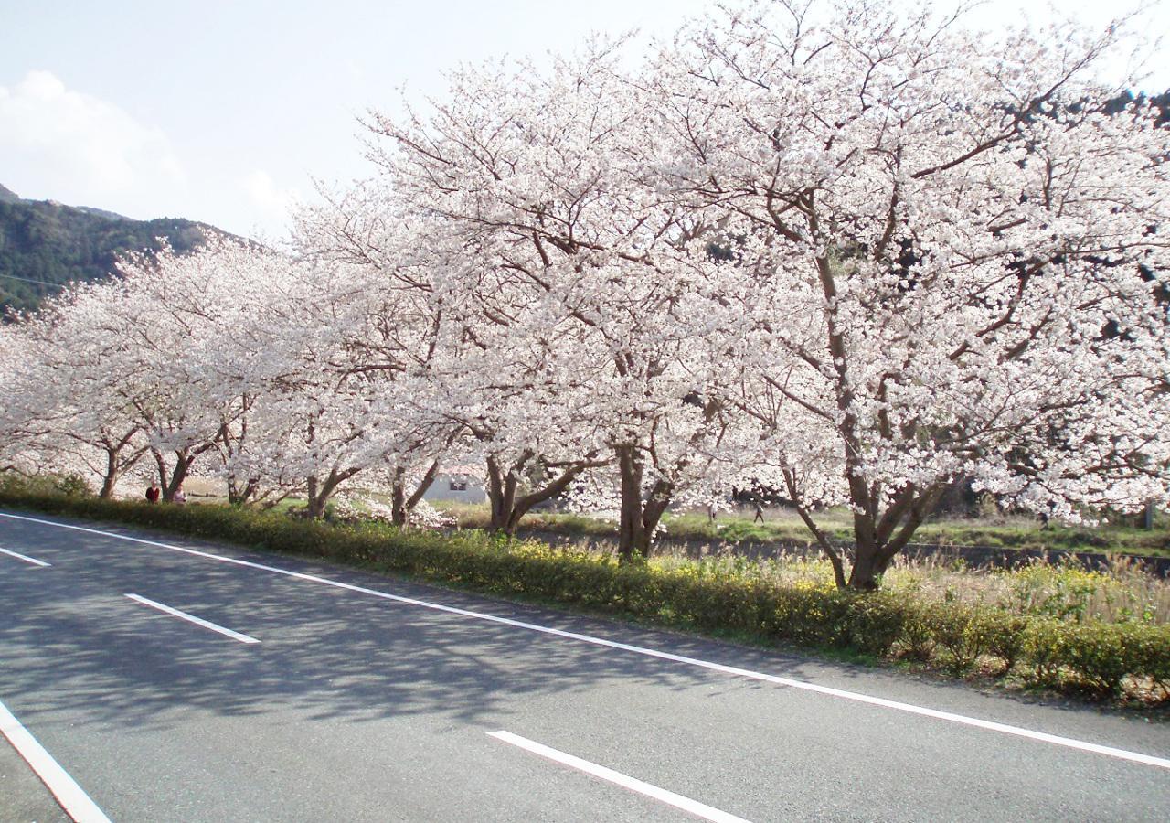 Nishiizu Matsuzaki Itoen Hotel Exterior photo